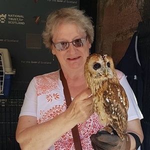 Meet your Posher, Aileen